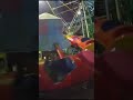 لعبة الدودة الشقية 