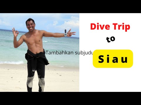 Dive Trip to Siau island near Mangahetang island, underwater volcanoes