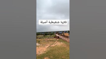 تلاوة شنقيطية أصيلة #موريتانيا