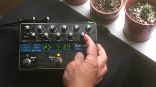 Mike Baggetta's Non-Demo of Eventide TimeFactor's Looper (only)