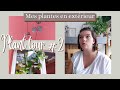 Plant tour 2  mes plantes dintrieur en extrieur  mon retour dexprience 