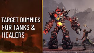 We Need A Target Dummy For Tanks And Healers | Elder Scrolls Online