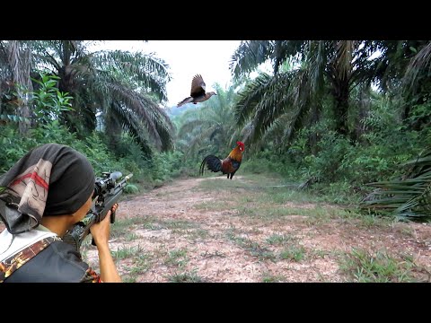 SNIPER vs SNIPER | The Deadliest Duels in the Saga | Tom Berenger, Chad Michael Collins