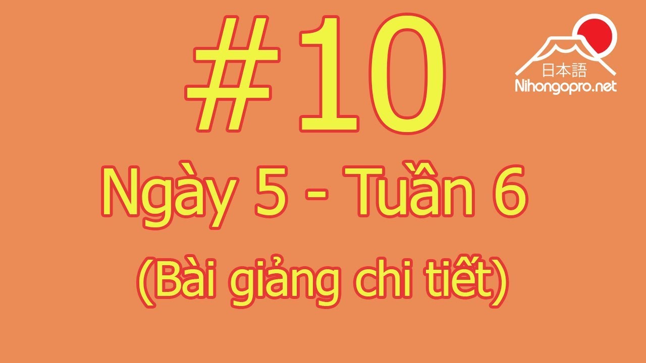 Đọc hiểu N3 - Ngày 5 - Tuần 6 - Somatome (Bài giảng chi tiết)