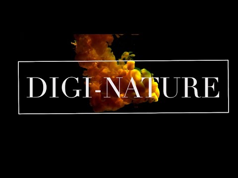 1 Hour Smoke Ambient Sounds With Scenery for Sleeping and Deep relaxation