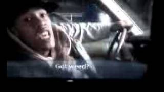 HOW HIGH-GOT BLUNT, GOT WEED?