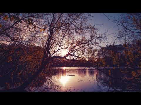 صوت هز مدينة Torino الإيطالية ـ القارئ أنس براق YouTube 2