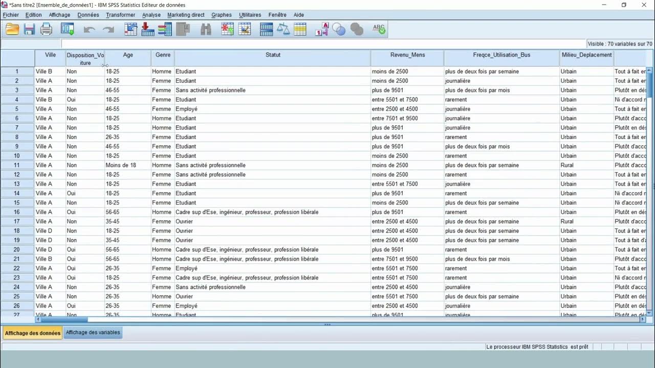 Comment importer des données Excel dans SPSS en 2 minutes (Tutoriel ...