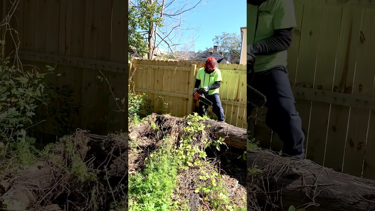 Backyard Landscaping YouTube