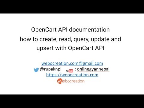 How to use Opencart API?