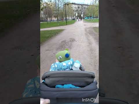 Маленькие радости: ключ к превращению обычного дня в необычный