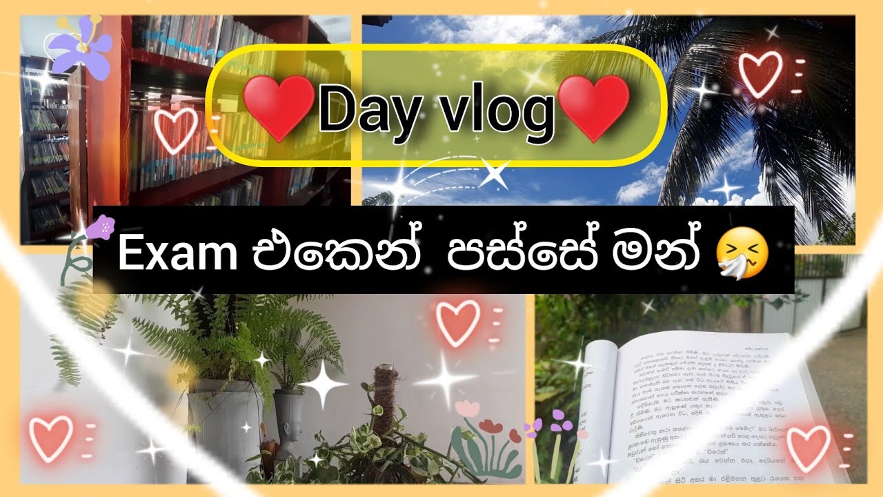Day vlog☘️|Exam එකෙන් පස්සෙ relax වෙමුද?🙂|කාලෙකින් වීඩියෝ දැම්මේ නැත්තෙ ඇයි?🤔|#dayvlog🇱🇰|#studyvlog🌻