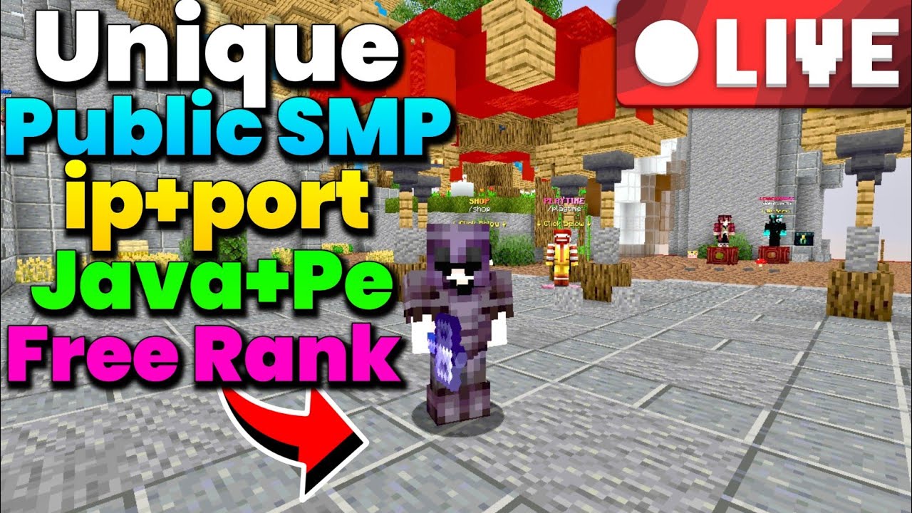 Let's play on this Brand NEW Public Minecraft Server - YouTube