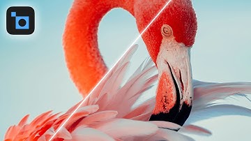 How to Re-Focus Your Photos in Post!