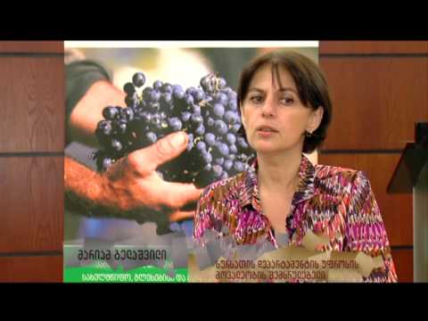 გენმოდიფიცირებული საკვები