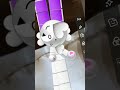 bunny x pequien