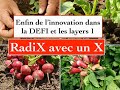 Radix  enfin de linnovation dans la defi et les blockchains layer 1  prochaine star de la defi