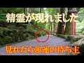 【貴船神社奥宮】※参拝中に現れた精霊の姿を見ることが出来た方は大きな幸運が舞い込み始めます｜遠隔参拝#62｜Kifune Inmost Shrine Japan