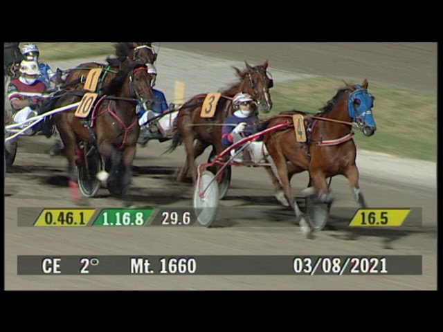 2021 08 03 | Corsa 2 | Metri 1660 | Premio Citta' Del Cavallo