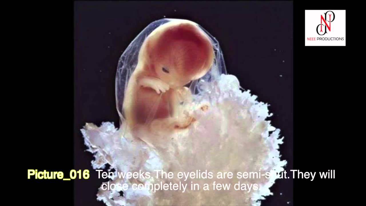 How Child was Born - A Musical Photo Presentation | Neee Productions