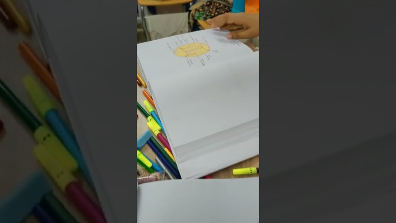 1st year MBBS anatomy gross diagrams 🥲