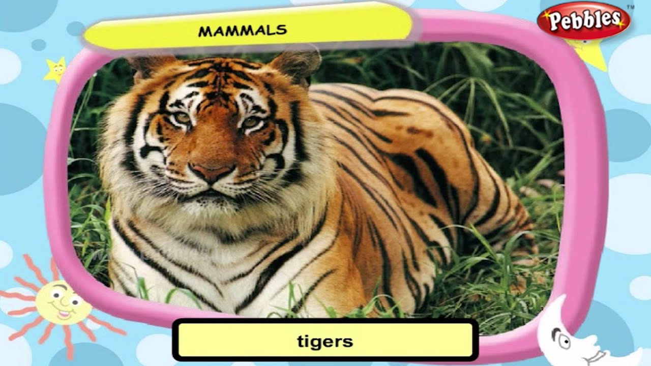 Eating Habits Of Animals For Class 3 Pdf Class 3 Science Lesson 5 