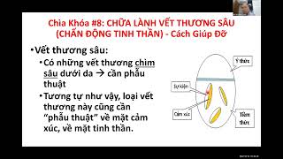13 Rapha K8 Chữa Lành Vết Thương Sâu