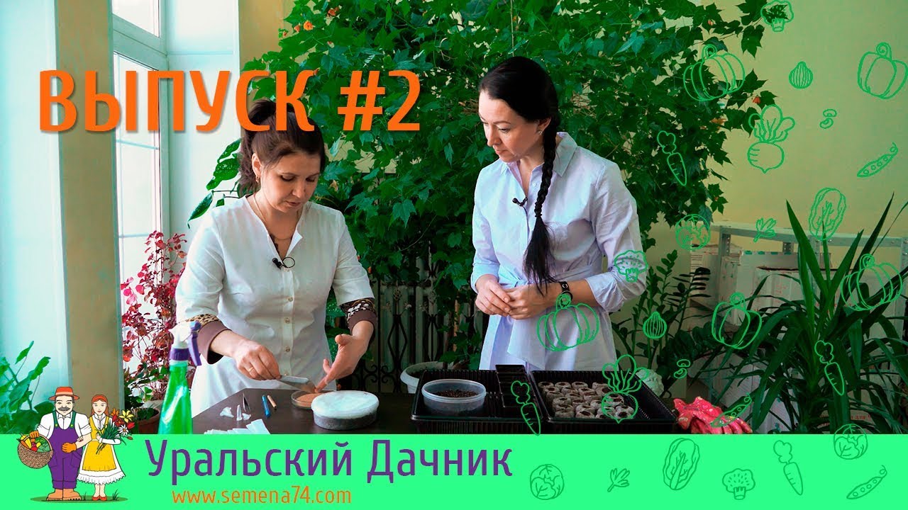 Semena74 Com Www Уральский Дачник Интернет Магазин