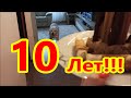 Миссеньке 10 лет!!!