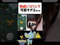 色違いコリンクが可愛すぎるｗｗ【ポケモンGO】 #shorts