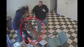 ТОП 5 НЕВЕРОЯТНЫХ СЛУЧАЕВ СПАСЕНИЯ ЧЕЛОВЕКА ЖИВОТНЫМИ СНЯТЫХ НА ВИДЕО ТОП 5 НЕВЕРОЯТНЫХ СЛУЧАЕВ СПАСЕНИЯ ЧЕЛОВЕКА ЖИВОТНЫМИ СНЯТЫХ НА ВИДЕО