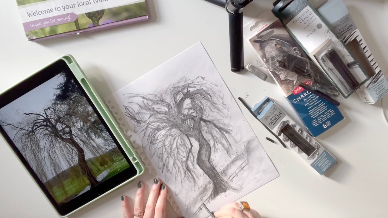 Inspired by Nature at West Dean Gardens | In My Studio | Charcoal Drawing | Watercolour | Watercolor