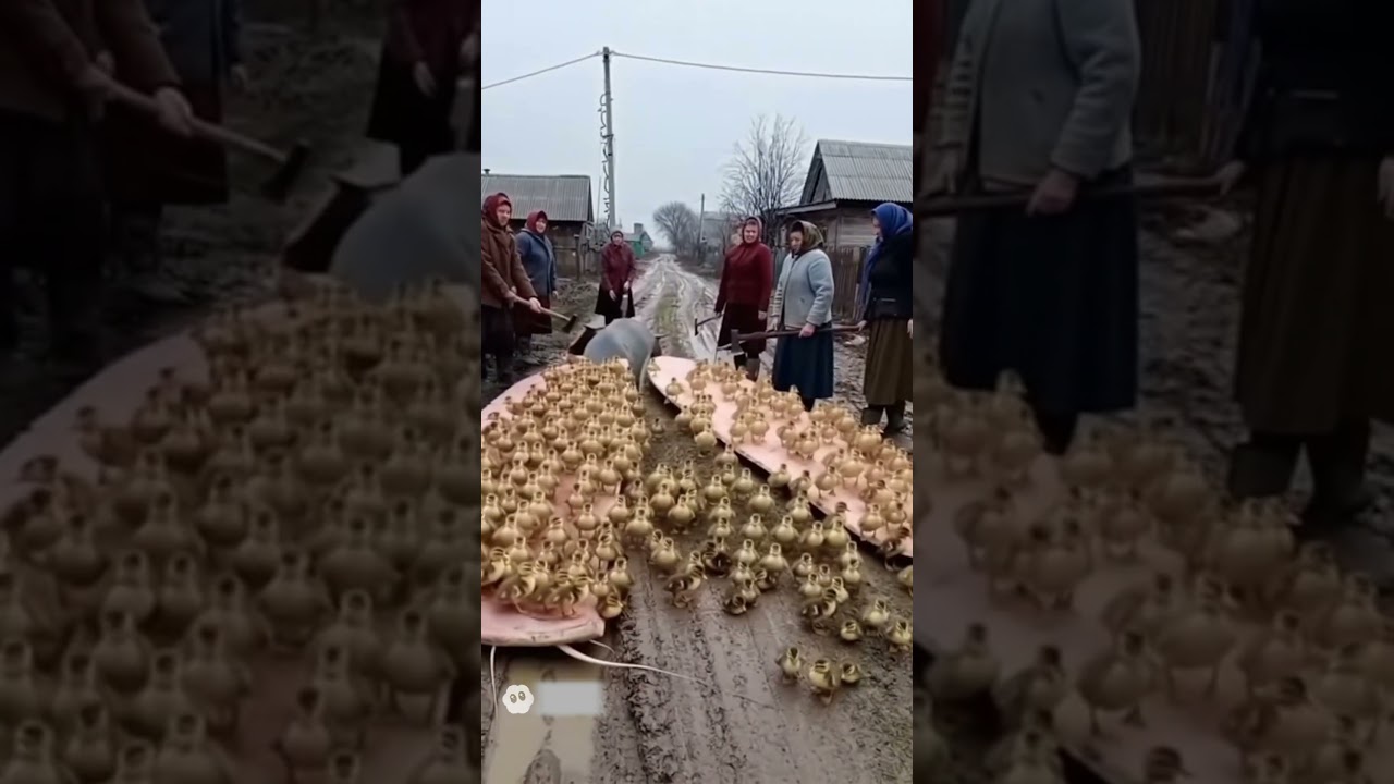 Old Lady vs Giant Catfish!What They Found Inside the Fish Will Astonish You!