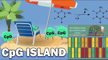 CpG ISLANDS - Promoters, Link to Cancer, X-Chromosome Inactivation