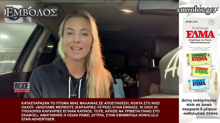 Δύτες κολύμπησαν πλάι σε λευκό καρχαρία 6 μέτρων – καθηλωτικά πλάνα