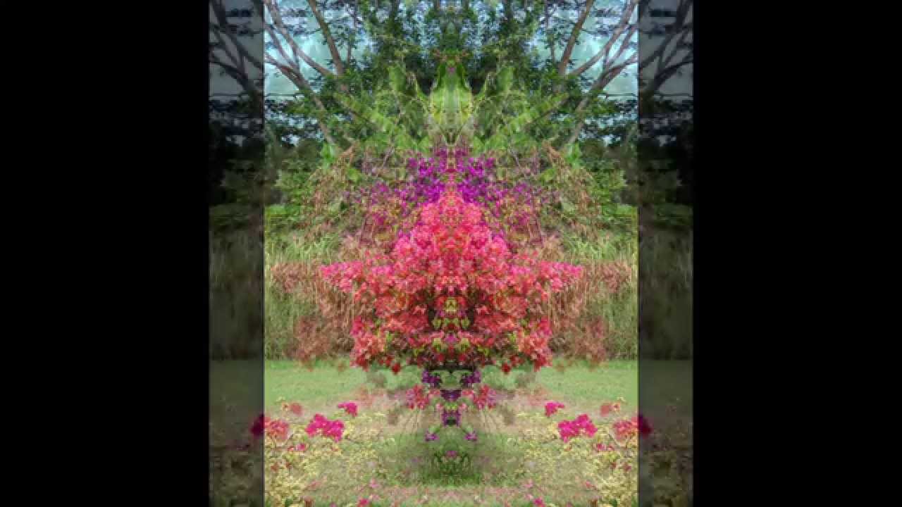 Nature Spirit Visions - Your first holographic self reflection experience!