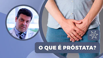 Qual é a função da próstata?