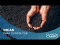 Saiba como o manejo correto do solo pode evitar sua erosão | Planeta Campo | 24/01/2024