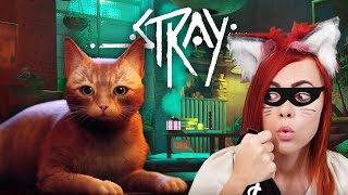 TOLVAJOK LETTÜNK? 🤔  - Stray 😹- Cica Kaland! #7 screenshot 3