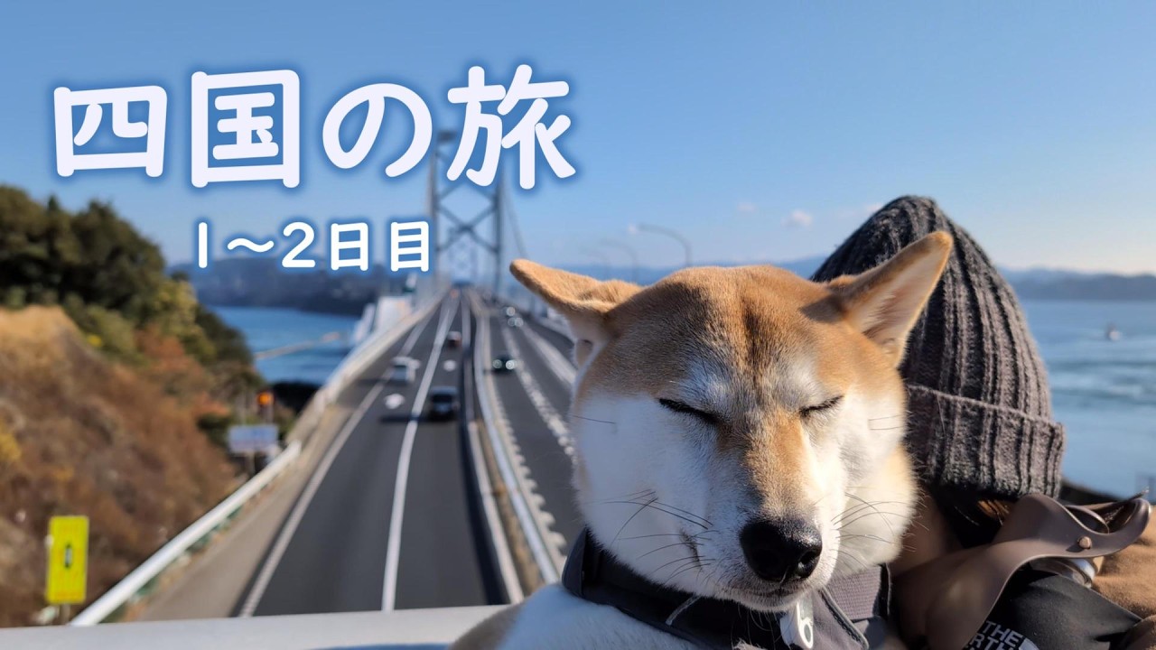 【犬連れ旅】柴犬はっさく 初めての四国旅 1~2日目【淡路島~四国】
