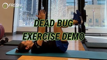 Master the Dead Bug: Ultimate Core Exercise for Beginners