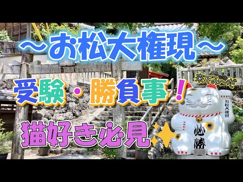 【神社】　猫神神社で有名な「お松大権現」に行ってみたら本当に猫だらけでびっくりした！　【徳島県神社】