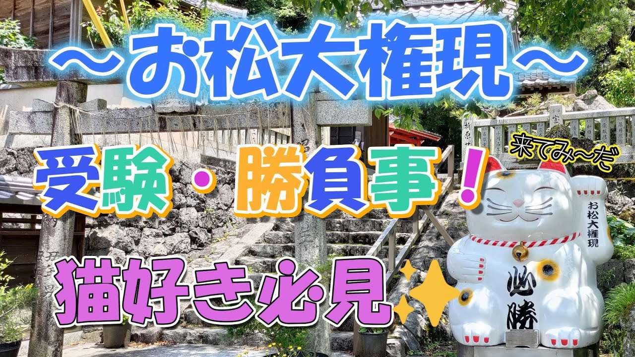 【神社】　猫神神社で有名な「お松大権現」に行ってみたら本当に猫だらけでびっくりした！　【徳島県神社】