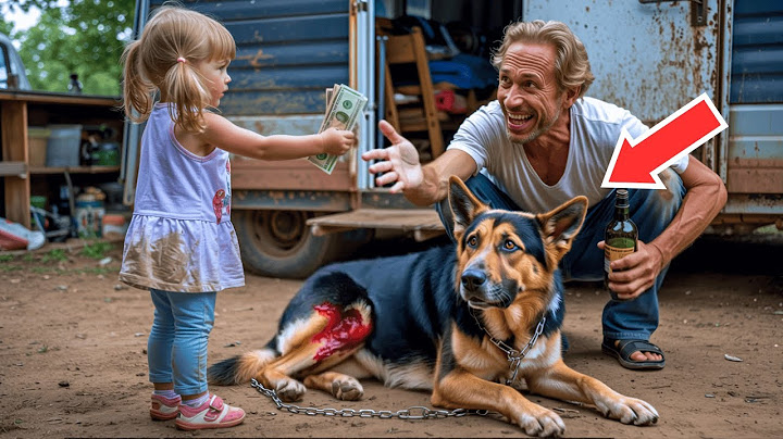 Little Girl Spends Her Only $15 To Save An Injured Dog — What Happens Next Shocks Everyone!