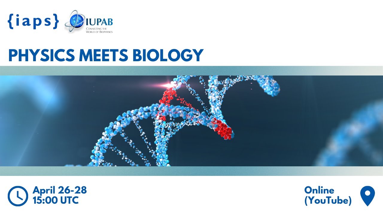 Physics meets biology – Day 2