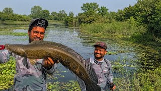 मछलियों को देख देख  कर पकड़ा हम लोग || kaalfisher
