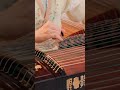 Pachelbel Canon in D Major - Guzheng Cover (Shorts Ver.)  | Moyun Official