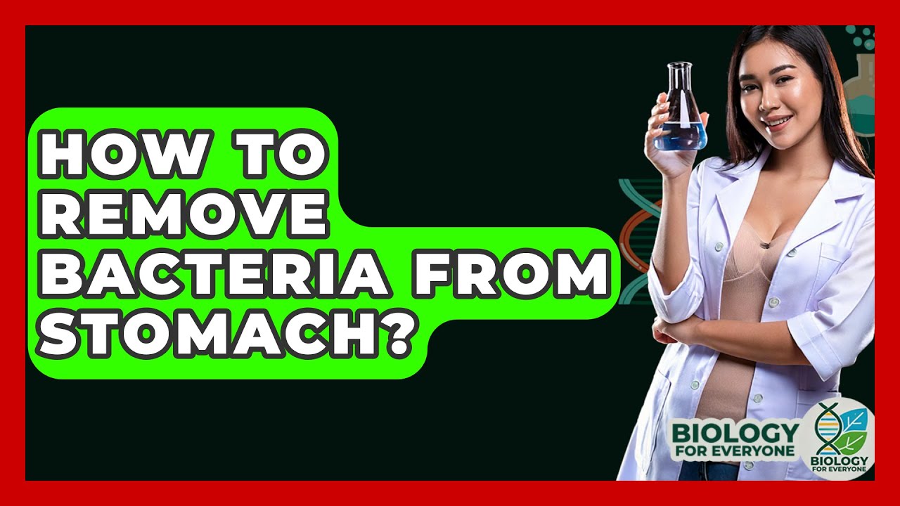 How To Remove Bacteria From Stomach? - Biology For Everyone