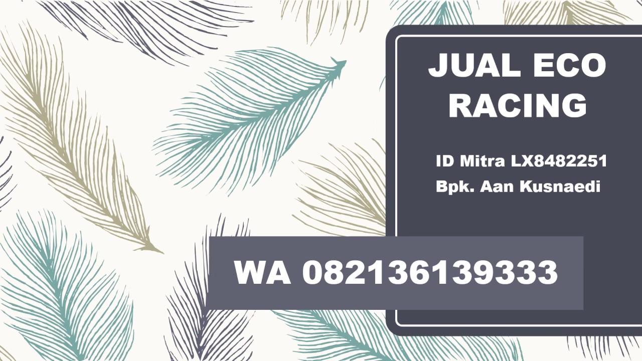 STOKIS!, WA 082136139333, cara gabung eco racing Halmahera, eco racing motor, jual eco racing murah