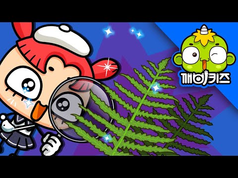 식물분류송 | 과학송 | 과학노래 | 과학동요 | 깨비키즈 KEBIKIDS